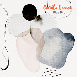 亚洲高清不卡视频
