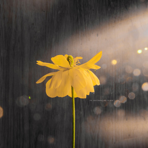 亚洲高清不卡视频
